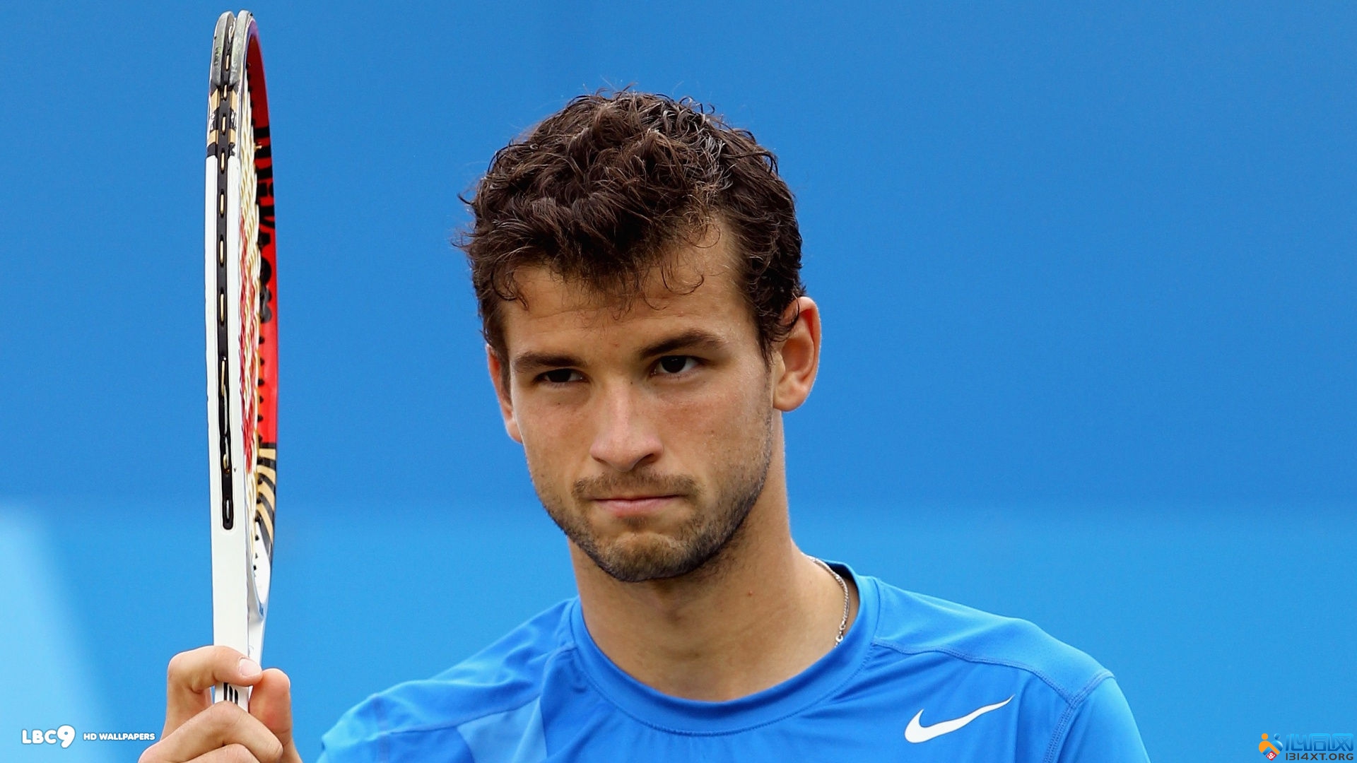 清晰的场上 清晰的场上