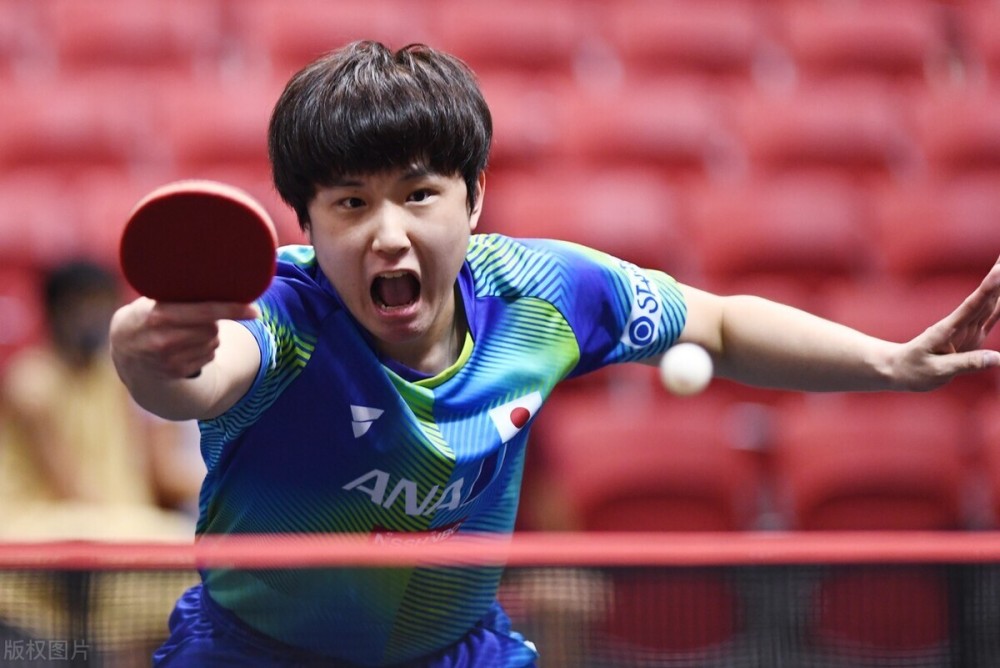 及法律的审 及法律的审