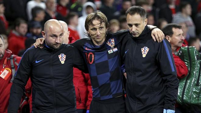 特点了如指 特点了如指